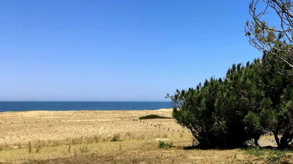 Bosque o médanos: cómo elegir un terreno en San Antonio de La Pedrera